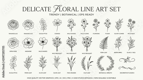 Delicate Floral Line Art Designs.