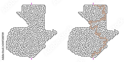 Map of Guatemala Abstract labyrinth shaped maze puzzle vector outline with answer in red lines with purple arrows, graphic illustration for Kids activity page, Printable game and books publishing
