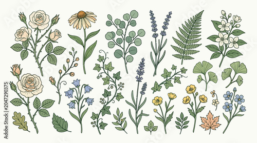 Variety of colorful wildflowers and plants.