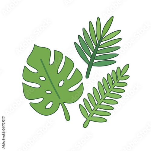 Cute Minimalist tropical leaves vector set for summer and tropic day design PNG 