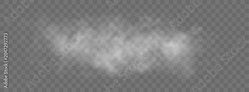 Fotografía Atmospheric smoke png with floating vapor mist, powder dust particles, transparent background, chemical smog effect and abstract air environment design