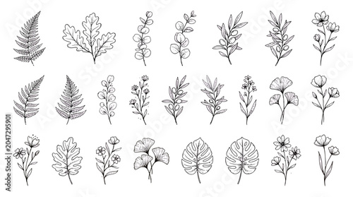 Set of hand drawn botanical leaf and flower sketches including monstera fern eucalyptus and ginkgo on white background, illustrating organic brand identity or elegant wedding invitation design