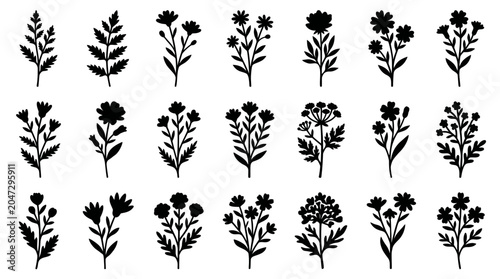 Collection of various black wildflower and meadow herb silhouettes isolated on a white background, symbolizing botanical decoration and representing minimalist floral graphic design elements