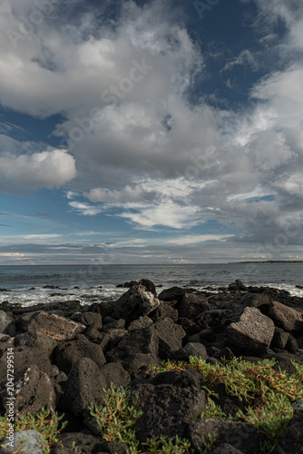 Afternoon light on lava rock coast with crashing surf, Galapagos Islands. Warm sidelight illuminates dark volcanic boulders as waves break on horizon.