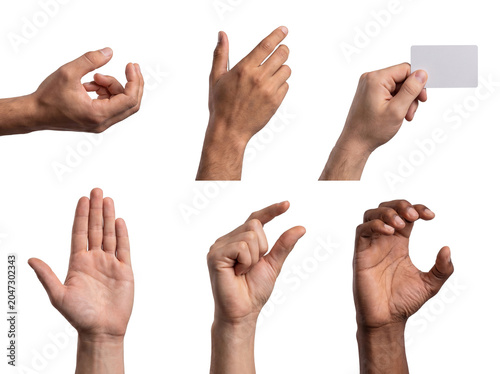 Canvastavla Diverse hands showing various gestures, including holding a blank card, cupping, and open palm