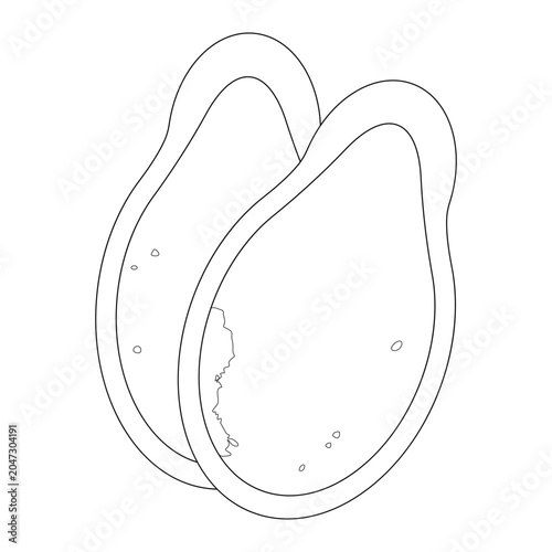 Line Two Roasted watermelon seeds illustration