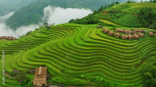 Drone aerial view Mountains and fog with rice terrace field in harvest season