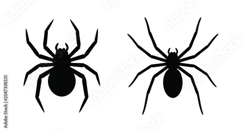 Fotografie Two Black Spiders Depicted As Silhouettes Against A White Background Silhouette