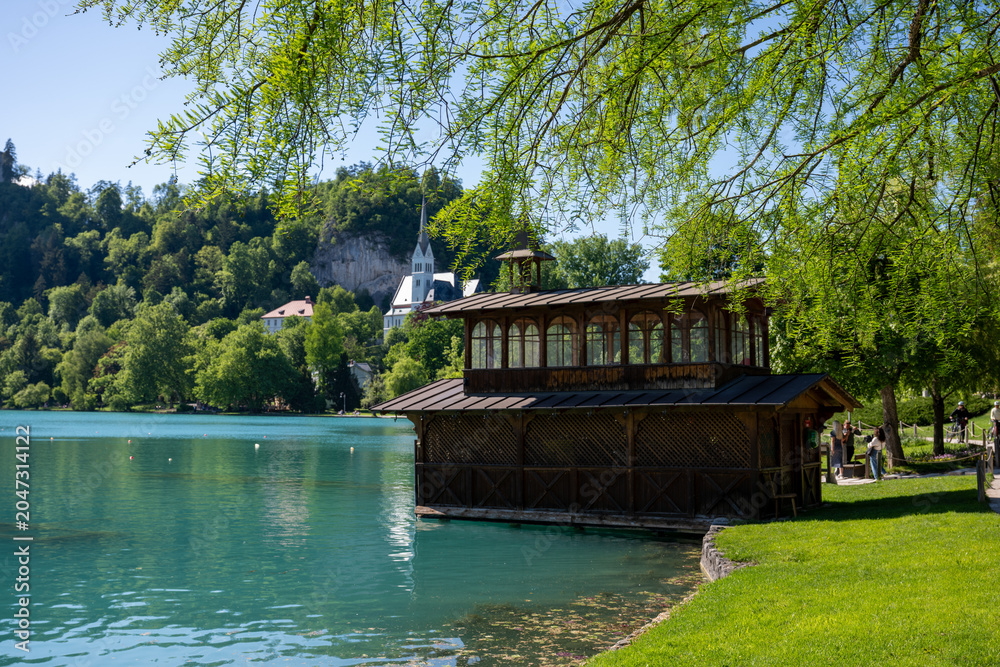 Fototapeta premium Bled | Slowenia | Europe