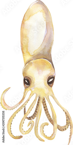 Watercolor Octopus Larvae illustration, hand drawn ocean animal clipart, underwater creature clip art