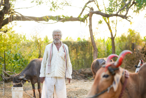 Canvas Print An elderly farmer stands in a rural farmyard with buffaloes in the background
