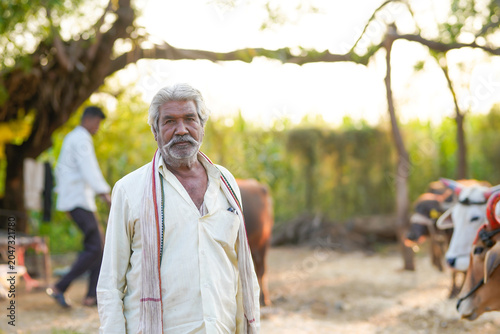Foto An elderly farmer stands in a rural farmyard with buffaloes in the background