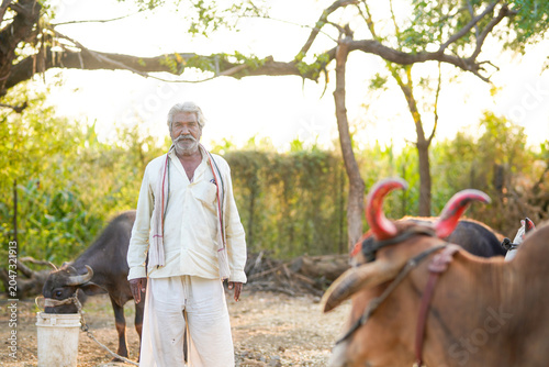 фотографія An elderly farmer stands in a rural farmyard with buffaloes in the background