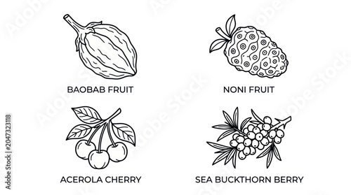 Fotografie Exotic fruit icon set featuring baobab noni acerola sea buckthorn