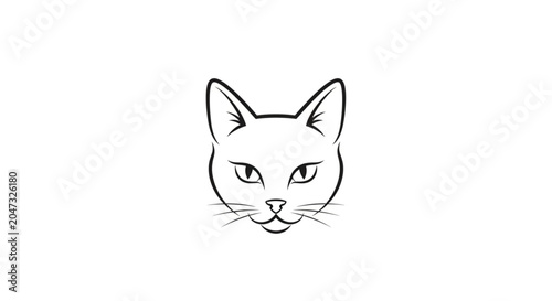 Fotografi Closeup of a cat face.