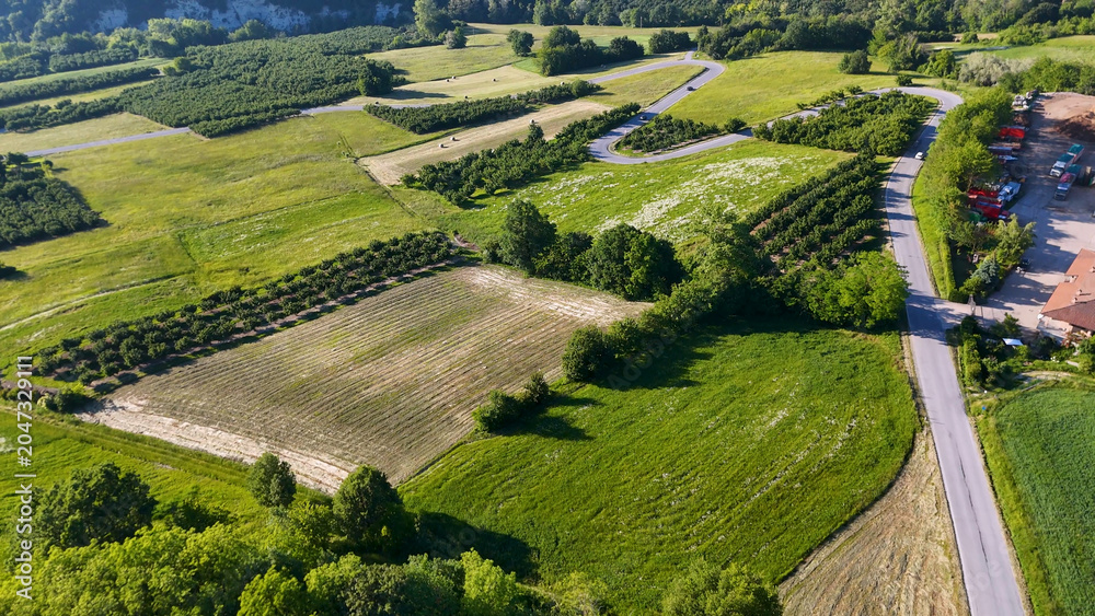Naklejka premium Aerial View of Winding Road Through Green Vineyards and Fields in Piedmont