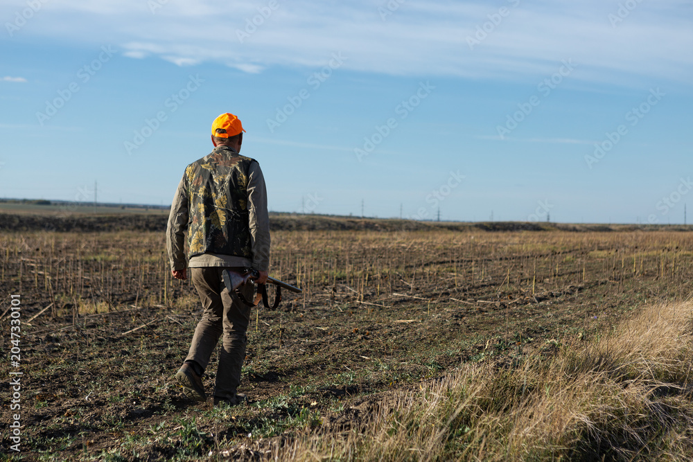 Fototapeta premium Mature man hunter with gun while walking on field.