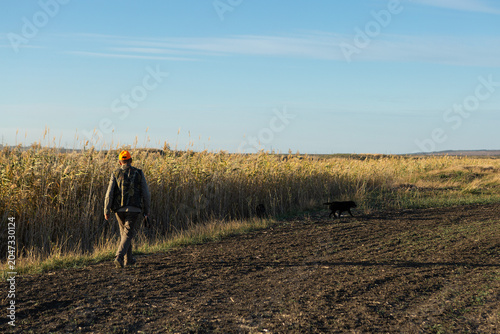 Mature man hunter with gun while walking on field.