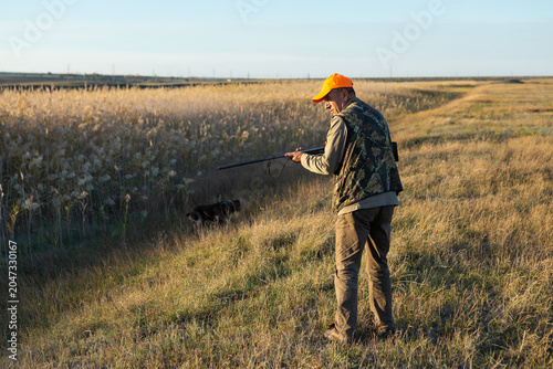 Mature man hunter with gun while walking on field with your dogs