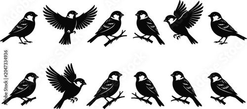 Tableau sur toile Bird silhouette illustration with perched and flying poses, small sparrow‑like f