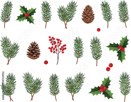 Φωτογραφία Christmas foliage vector collection isolated, pine branches holly leaves and win