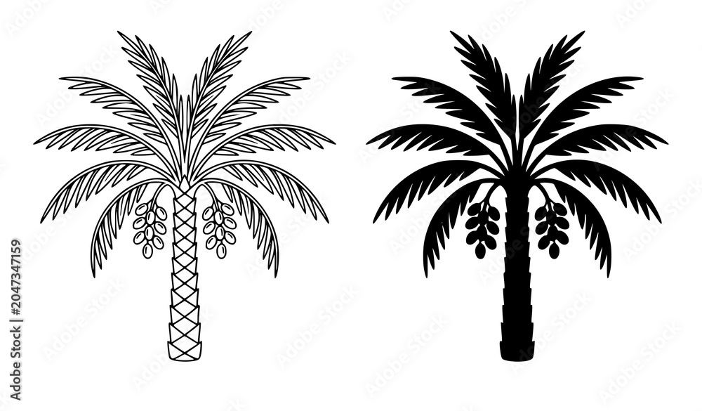 Naklejka premium Date Palm Tree Line Art and Silhouette Vector Collection with Ripe Dates