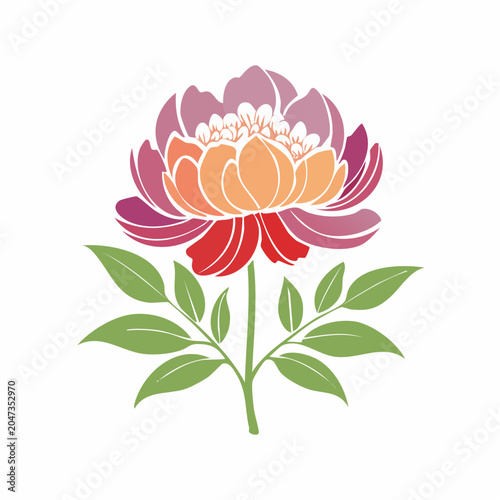 Stylized Peony Flower Illustration