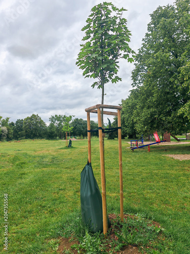 Green generic PVC tree watering bag is designed to slowly release water directly to the root system of newly planted trees