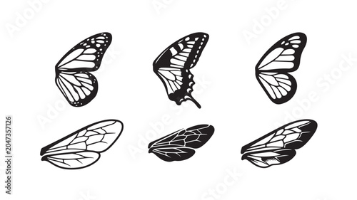 Butterfly Wings Isolated On White For Nature And Transformation Concepts
