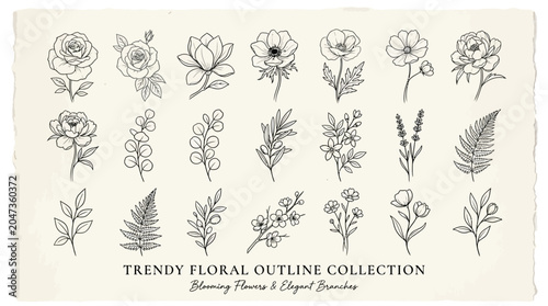 Trendy Floral Outline Collection Illustrations.