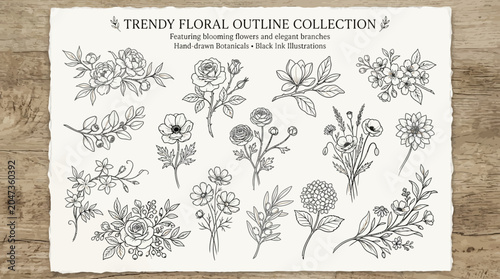 Trendy Floral Outline Collection Illustrations.