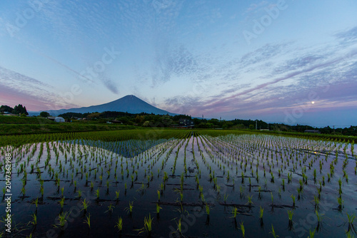 夕暮れの田んぼに映える逆さ富士