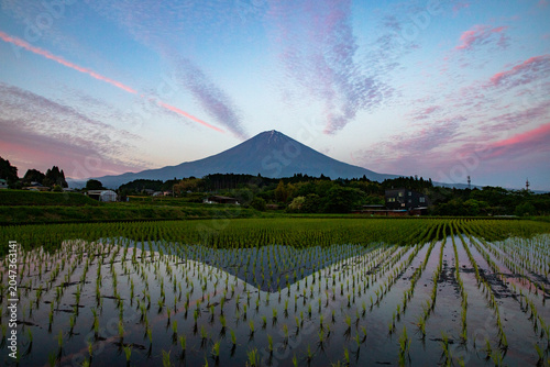 夕暮れの田んぼに映える逆さ富士