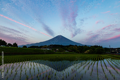 夕暮れの田んぼに映える逆さ富士