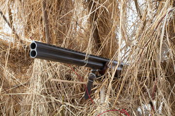 the barrels of a hunting shotgun protrude from the shelter of the dry grass