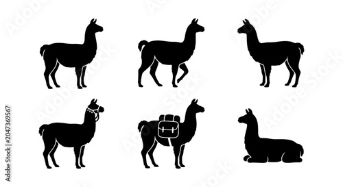 Foto Llama Icons Set: Silhouette Vector Graphics of Alpacas, South American Camelids,
