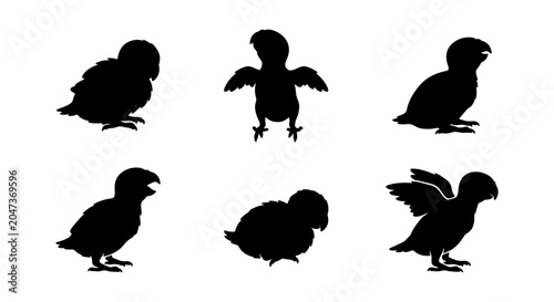 Quadro su tela Charming Baby Bird Silhouettes Set, Adorable Fledgling Poses, Cute Avian Vector