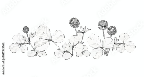 hand drawn flowers