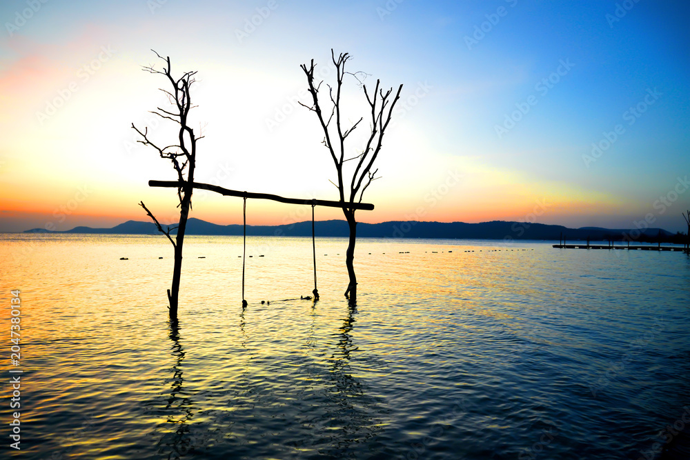 Fototapeta premium Swing on sea beach on sunset. Swing hangs on tree branch at tropical resort of Starfish Beach on Phu Quoc Island in Vietnam. Beach swing at ocean. Vacation at sea with love on tropical paradise beach.