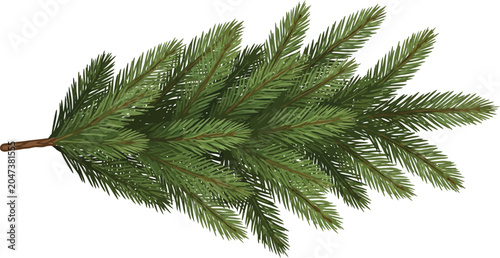 A high resolution isolated branch of a lush green fir tree perfect for christmas and winter holiday seasonal decorative foliage craft projects and art