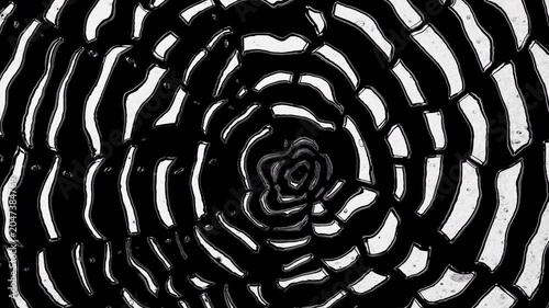Hypnotic black and white spiral animation