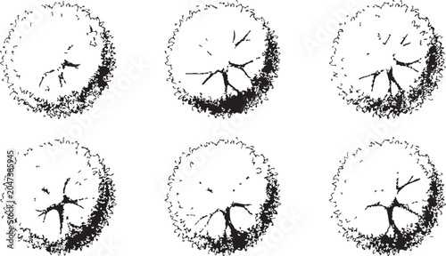 Fotografi Vector illustration of six identical circular tree designs with black and white
