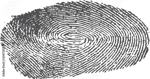 Detailed black human fingerprint oval texture