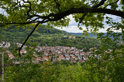 Blick auf Jena