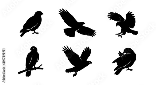 Six Silhouette Raptor Icons, Bird of Prey Vector Set, Majestic Eagle and Hawk Graphics, Wildlife Flying and Perched Poses