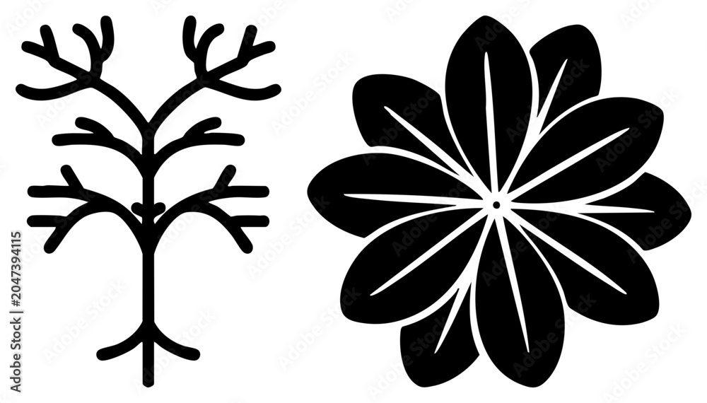 Obraz premium Clean graphic featuring a branching twig or sapling alongside a lush blossom. This nature inspired set includes a leafy sprig and a blooming petal arrangement in a stark style.