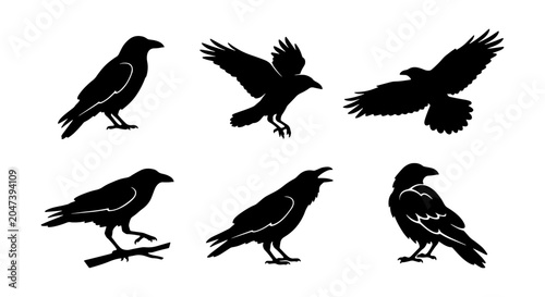 Bild auf Leinwand Six Silhouette Bird Icons: Crows, Raven, Eagle Vector Set