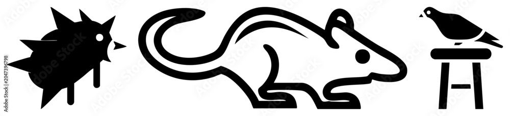 Obraz premium This stylized collection features a prickly porcupine, a sleek rodent or rat, and a small bird resting on a stool. These simple black silhouettes offer a clean graphic aesthetic.