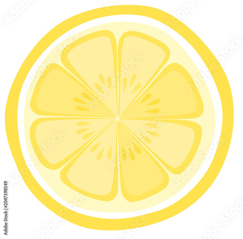 Slika na platnu Fresh Lemon Slice Cross Section Isolated Citrus Fruit Vector Illustration
