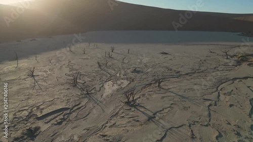 Timelapse: Skyline Reveals Desolate Terrain. Sunrise Illuminates Earth And Skeletal Trees In Silence